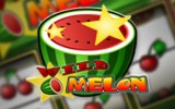 Wild Melon