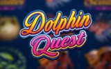 Dolphin Quest